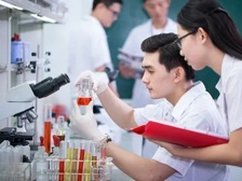 Đề xuất nhân tài được lựa chọn cộng sự, quyết định mức lương thưởng