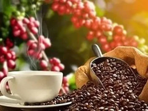 Giá cà phê xuống dưới mốc 90.000 đồng/kg