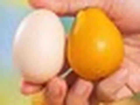 Đắt gấp 5 lần sầu riêng, láng giềng Việt Nam sở hữu báu vật nông sản được mệnh danh ‘Hermès trái cây’: Giá hơn 750.000 đồng/kg, trồng ít nhất 2 năm mới được thu hoạch