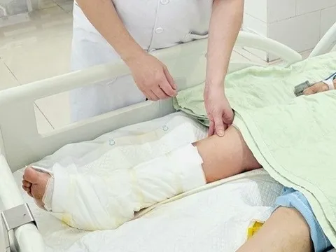 Người phụ nữ 65 tuổi nguy cơ mất chân sau khi đắp loại lá quen thuộc