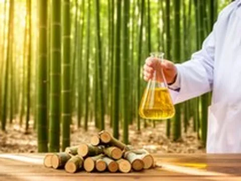 Phát minh mới của Mỹ làm rung chuyển ngành năng lượng: biến tre thành xăng dầu, giá chưa tới 19.000 đồng/lít