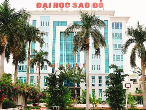 Trường đại học chi hơn nửa tỷ đồng mời giáo sư về làm việc