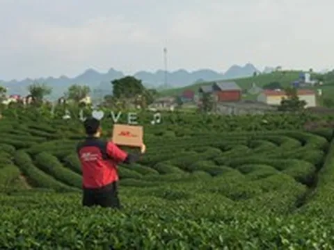 Giải bài toán vận hành cho hộ kinh doanh chè Thái Nguyên