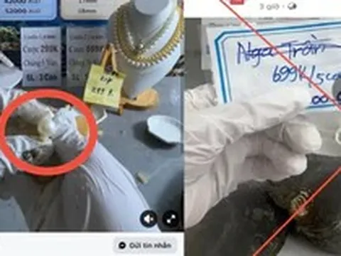 Mồi nhử tiền tỷ sau những phiên livestream khui ngọc trai