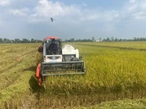 Láng giềng của Mỹ hỗ trợ Việt Nam phát triển "hạt ngọc", hơn 48.000 người sẽ được hưởng lợi trực tiếp