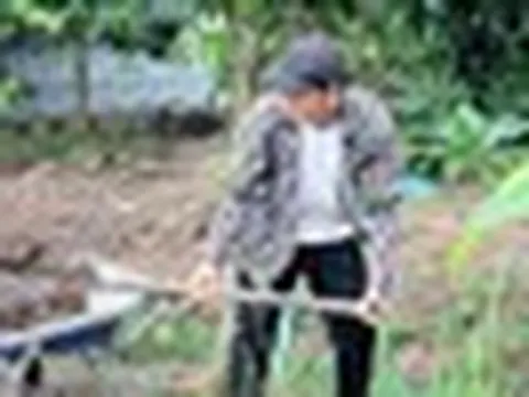 Nam diễn viên thôi chức lãnh đạo, bỏ phố về Đồng Tháp sống trong nhà vườn 20.000 m2