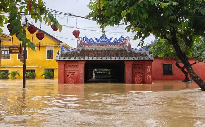 Lý do bão tháng 11 nhiều hơn mọi năm