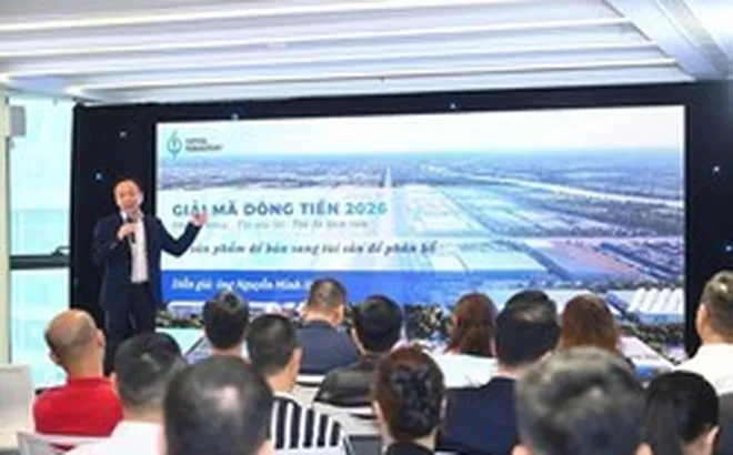 Chuyên gia: Rủi ro lớn nhất hiện nay không phải giá giảm, mà là tài sản không tạo ra dòng tiền”