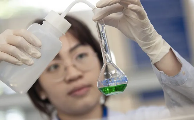 Học ngành gì để được miễn học phí trong năm 2026?