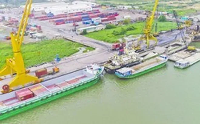 Cần Thơ đấu giá đất làm khu dịch vụ logistics và cơ sở giáo dục
